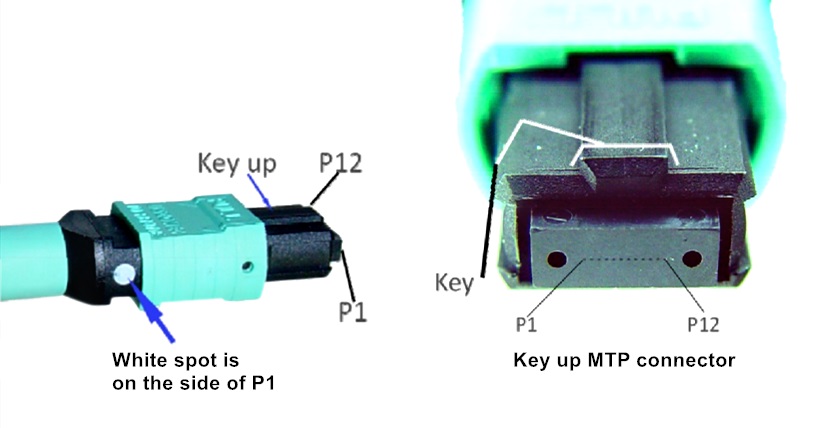 почему MTP / MPO патч-корды широко используются?