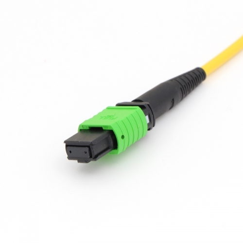 12 FiberMPO(Female)-MPO(Female) Fiber Optic Cable