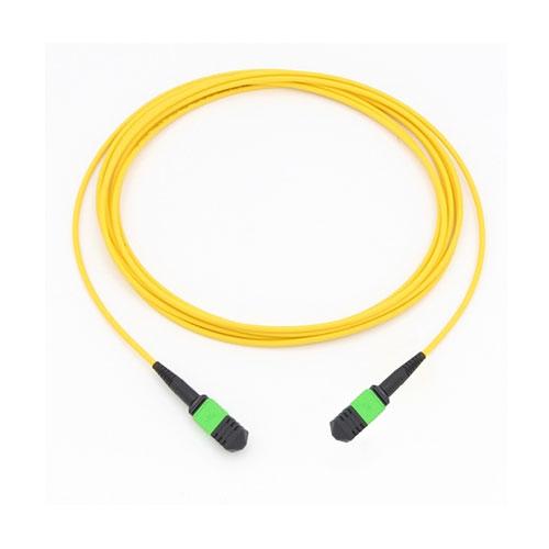 MPO(Male)-MPO(Male) Fiber Optic Cable