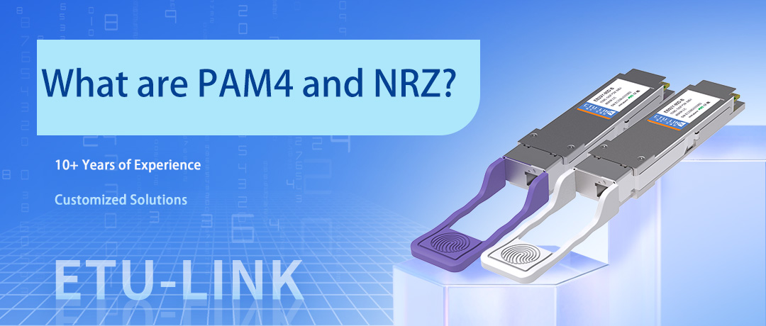 Что такое PAM4 и NRZ?